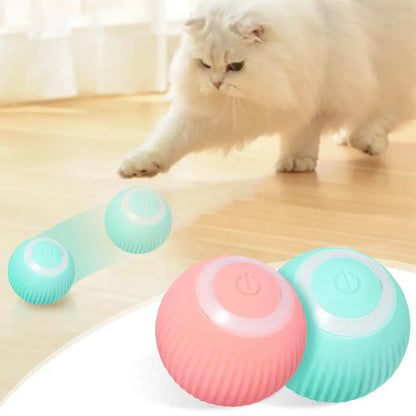 AmoorPet Active Rolling Ball For Kitten/Dogs/Cats