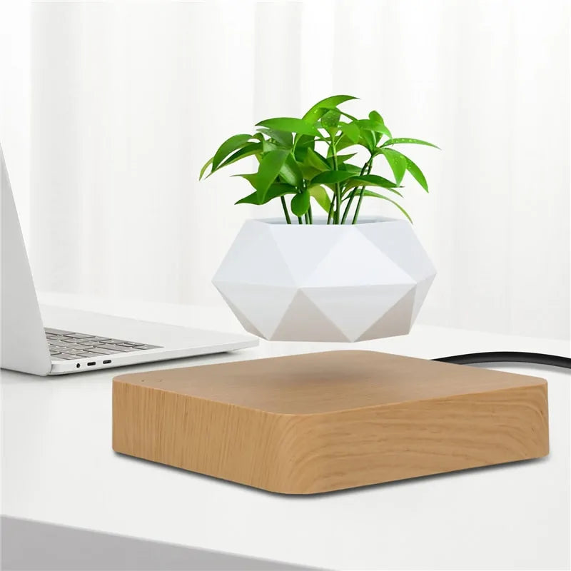 Amoorcity Levitating Plant Bonsai Pot