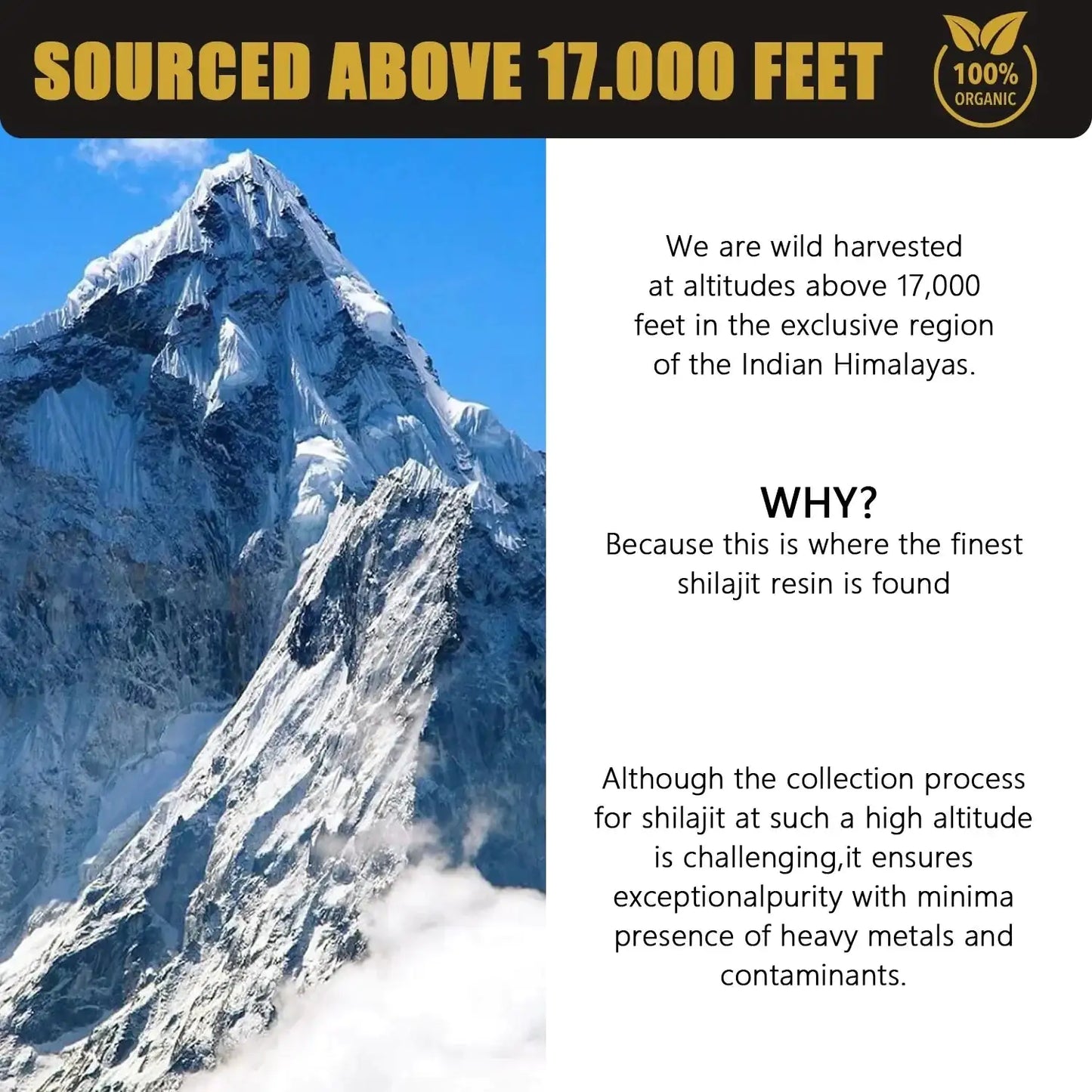 Himalayan Shilajit Premium Energy Resin Natural Booster