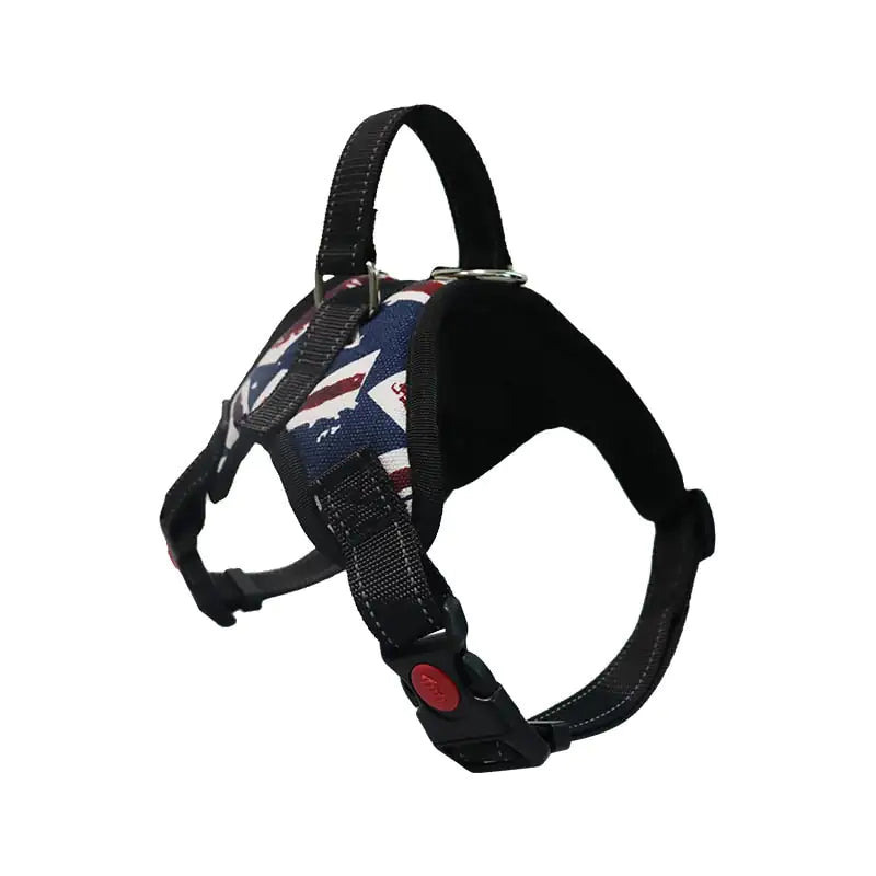 Comfortable dog walking harness and leash set by AmoorPet. Perfect for large and medium dogs. Adjustable harness for a secure fit.