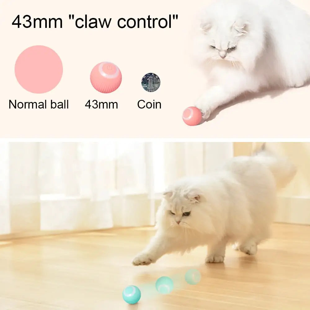 كرة دوارة نشطة من أموربيت للقطط/الكلاب/القطط
