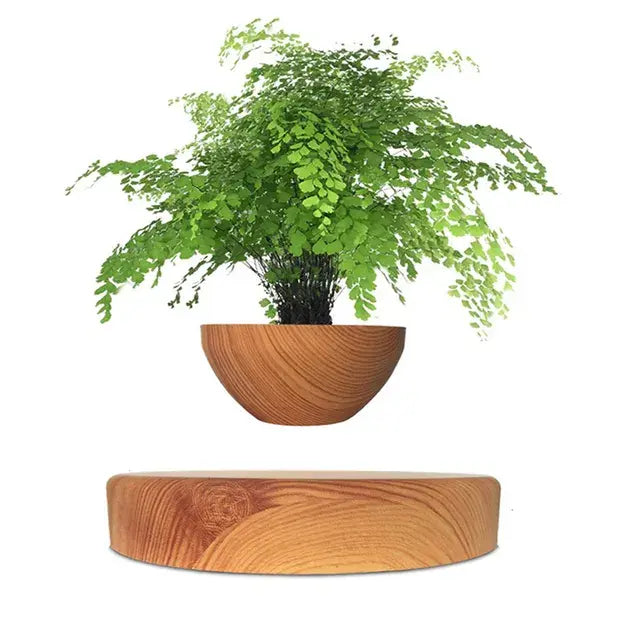 AmoorCity Levitating Air Bonsai Pot with Rotation. Modern plant stand with magnetic levitation technology that makes the bonsai or air plant rotate in mid-air. Creates a mesmerizing and unique display for home or office.